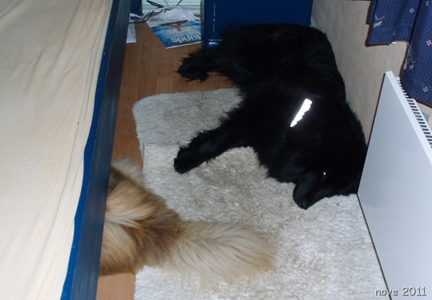 Wilma 016 Wilma 016