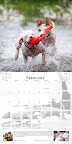 True joy has no limits or pre-conceptions!
Apollo and Titus by Leesia Teh
