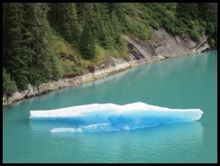IMG_3875 IMG_3875