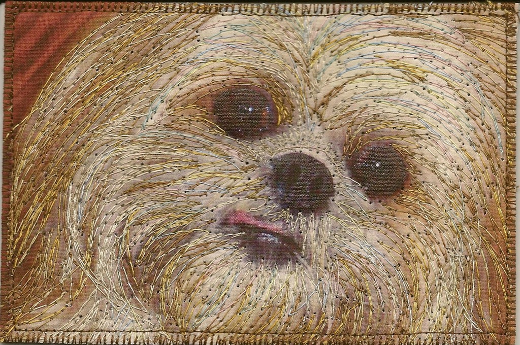 [scan0019%255B13%255D.jpg]