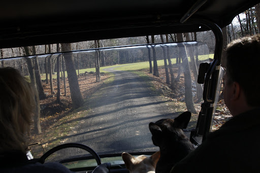 On the way to the upper field - there is always so much to look at.