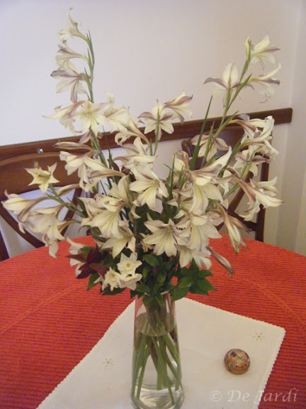 2012_03060003.jpg
