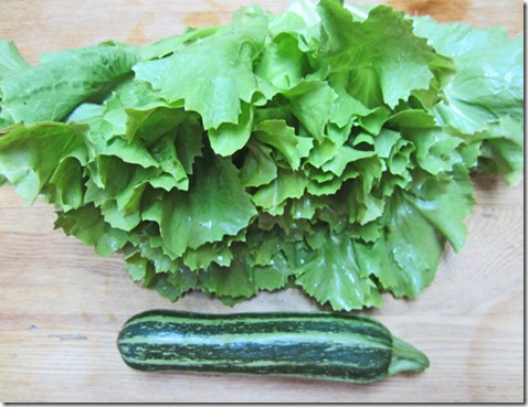 Escarole and a Costata Romanesco zucchini