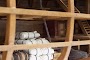 bounty_1-13.jpg
