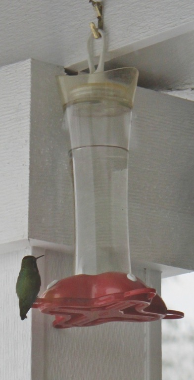 [009%255B7%255D.jpg]