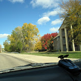 IMG_6336.JPG