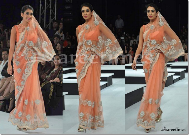 Shantanu_Nikhil_Saree