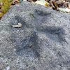 dsc03932.jpg