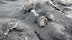 Dukono Volcano 021