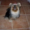 Charlotte aboie!