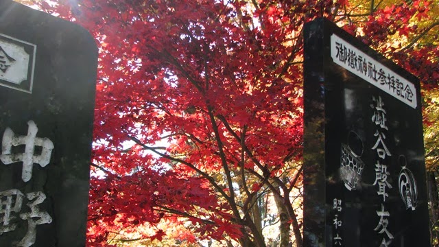 [IMG_4064%255B3%255D.jpg]