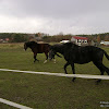 dsc07064.jpg
