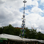 IMGP8440.JPG