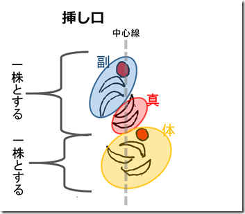 図1