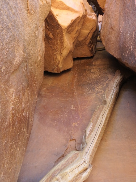 [moab_moonflower_canyon_petroglyphs_c%255B4%255D.jpg]