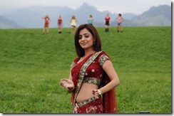 Nisha-Agarwal-hot in saree