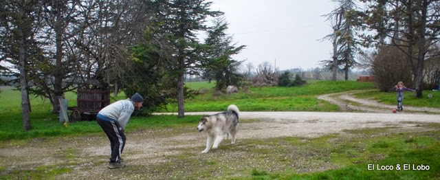 Gustav and Lucy foot the ball (1) Gustav and Lucy foot the ball (1)