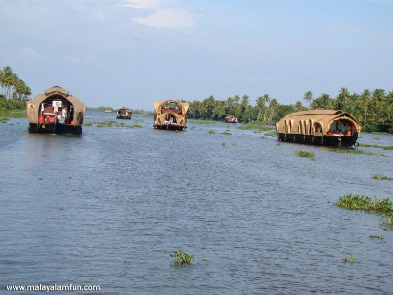 Oru Kuttanadan Yathra: The scenic view of Kerala(South India)
