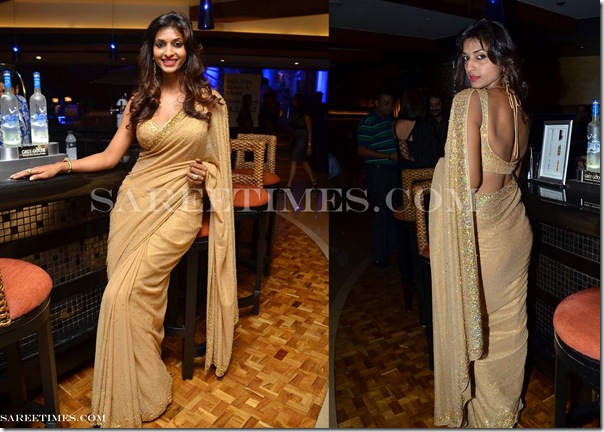 Gold_Designer_Embroidery_Saree