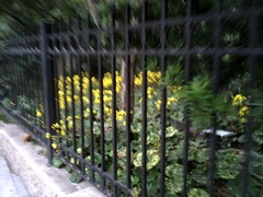 P09-11-11_16.07[2]