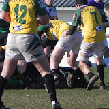 DSCN0504.JPG