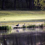 IMG_1276.JPG