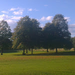 IMAG0421.jpg IMAG0421.jpg