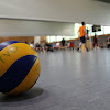 IMG_3580.JPG