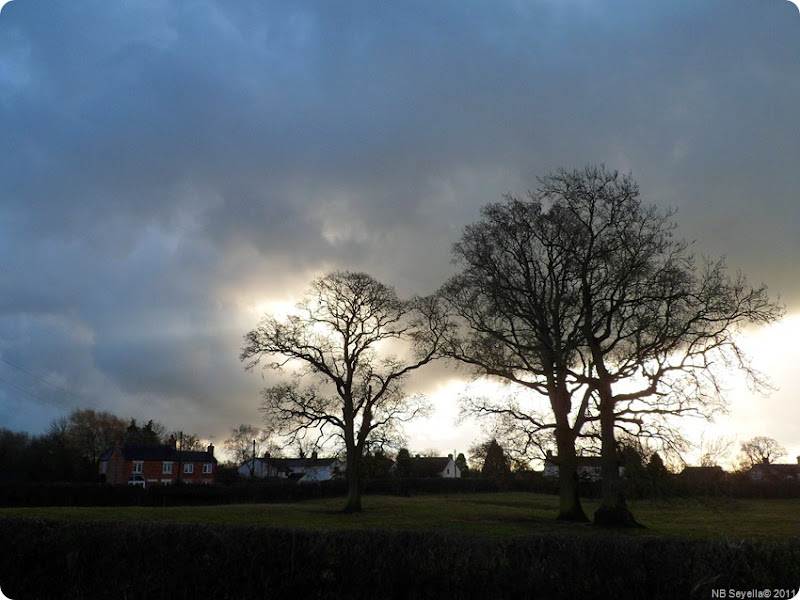 SAM_0039 Skies SAM_0039 Skies