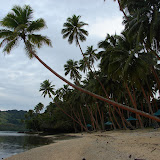 DSC01696.JPG