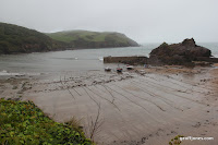 IMG_9352.JPG Photo