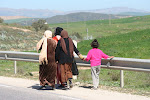 On the road from Tunis to Beja, Tunisia