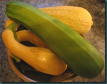 squash0707 squash0707