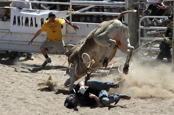 IMG_3856blog.jpg IMG 3856blog