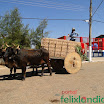 DesfiledeCarrosdeBois2011-015.jpg