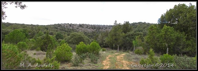 pano3 pano3