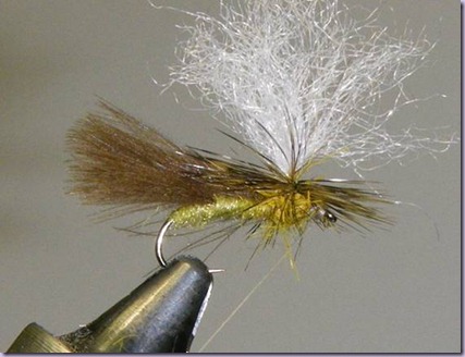 clip_image022 clip_image022