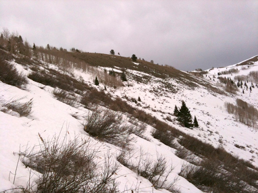 snow accumulation utah