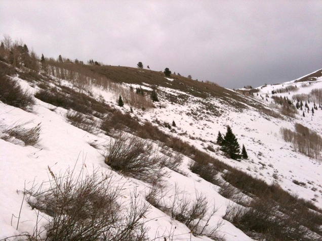 A ridge in Utah at 9,500 feet in one of the last avalanche advisories of the season illustrates concern about the lack of snow in Spring 2012. 'Personally, I'm rooting to put this winter out of its misery. Let's go for the [low-snow] record.' Bruce Tremper