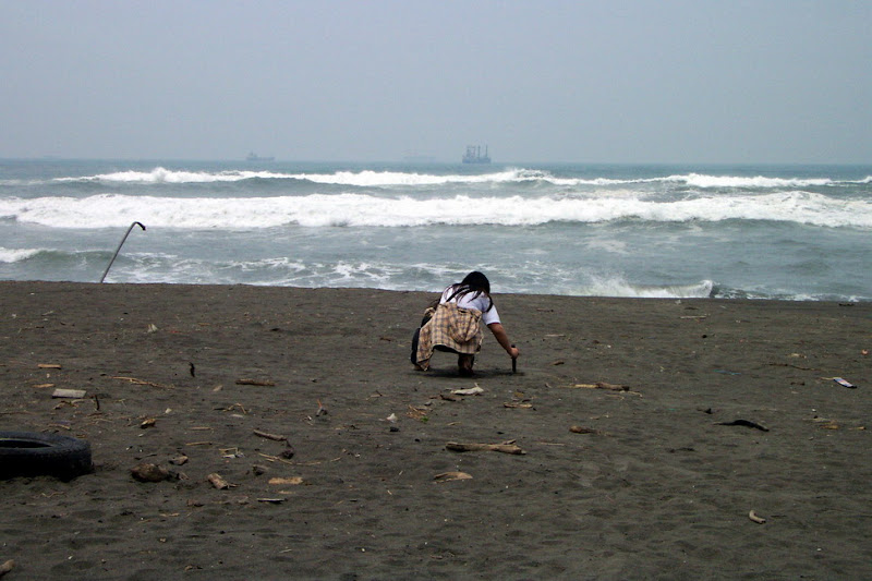 pic03.jpg