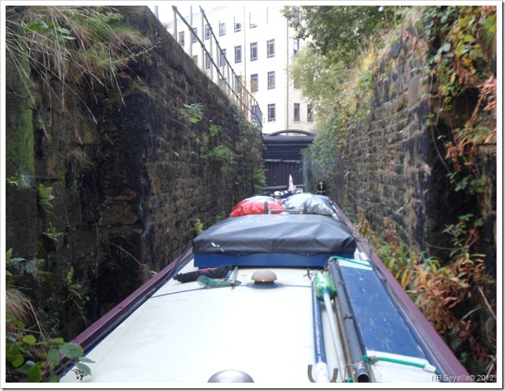 SAM_3818 Bates Tunnel SAM_3818 Bates Tunnel