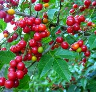 [Chal%2520chal%255B3%255D.jpg]