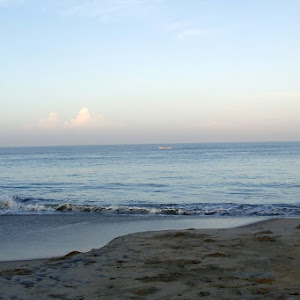 Marari Beach Resort