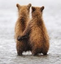 [03a-golden-turtle-nikolai-zinoviev-faith-hope-and-love-2011%255B43%255D.jpg]