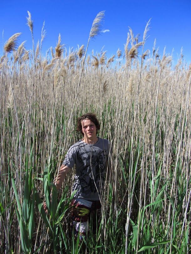 Me in the Rushes-1.jpg Me in the Rushes-1.jpg