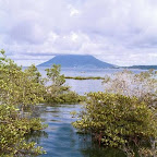 Manado Tua