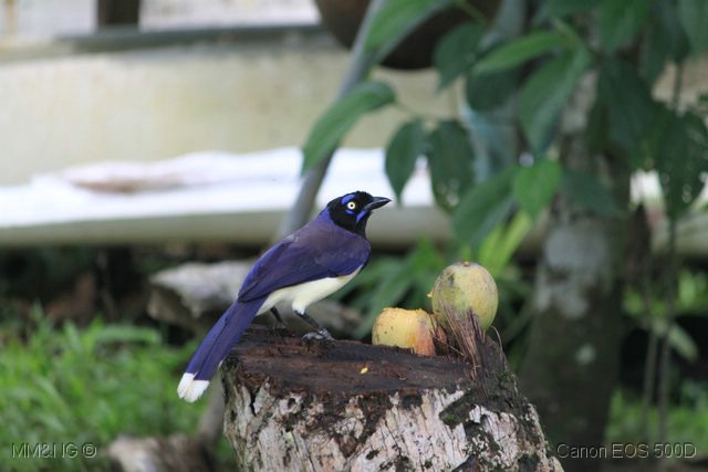 [IMG_4650%255B1%255D.jpg]