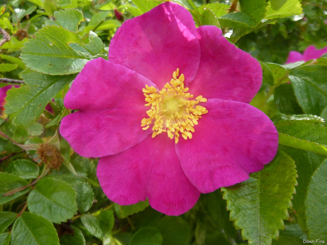 [Acadia%2520National%2520Park_120.jpg]