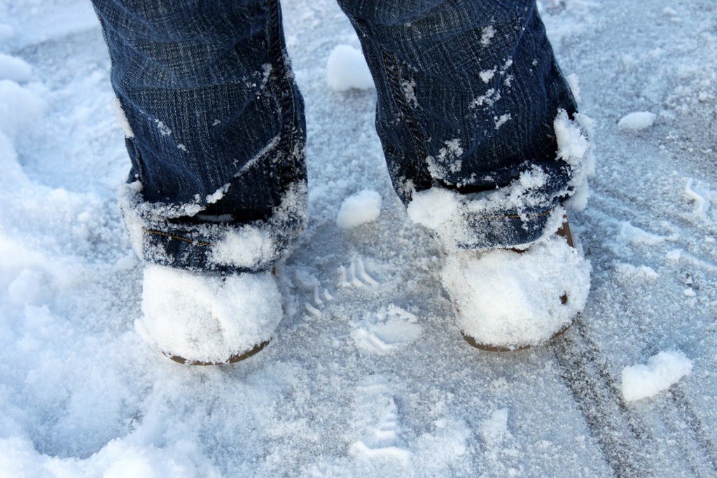 [2012-01-24%2520First%2520Snow%252033%255B5%255D.jpg]
