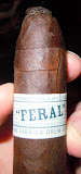DSCN1371.JPG
